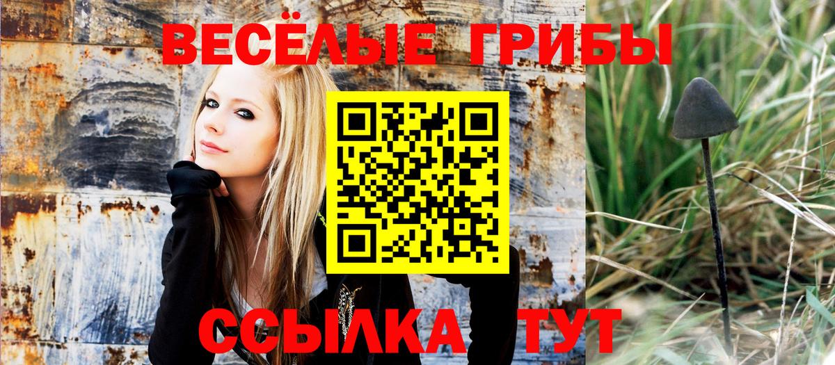Псилоцибиновые грибы Psilocybe Октябрьский
